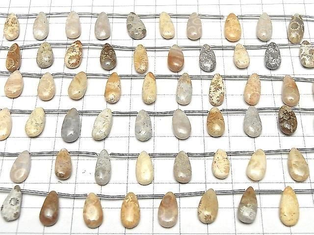 [Video] Fossil Coral Pear shape (Smooth) 1strand (8pcs )