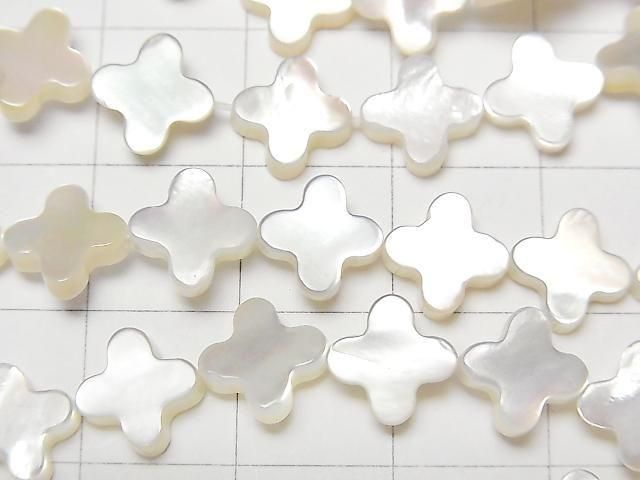 [Video] High Quality White Shell (Silver-lip Oyster) AAA Flower Motif 8x8mm Half or 1strand Beads (approx. 15 inches/36 cm)
