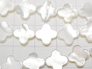 [Video] High Quality White Shell (Silver-lip Oyster) AAA Flower Motif 10x10mm Half or 1strand Beads (approx. 15 inches/36 cm)