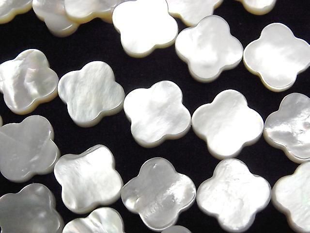 [Video] High Quality White Shell (Silver-lip Oyster) AAA Flower Motif 12x12mm Half or 1strand Beads (approx. 15 inches/36 cm)