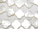[Video] High Quality White Shell (Silver-lip Oyster) AAA Flower Motif 12x12mm Half or 1strand Beads (approx. 15 inches/36 cm)