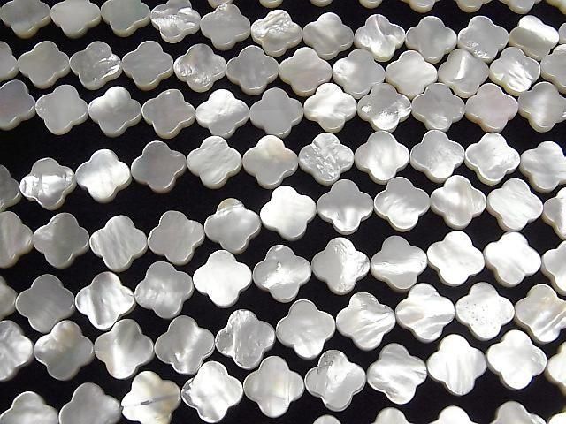 [Video] High Quality White Shell (Silver-lip Oyster) AAA Flower Motif 12x12mm Half or 1strand Beads (approx. 15 inches/36 cm)