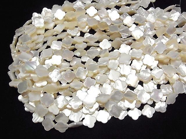 [Video] High Quality White Shell (Silver-lip Oyster) AAA Flower Motif 12x12mm Half or 1strand Beads (approx. 15 inches/36 cm)