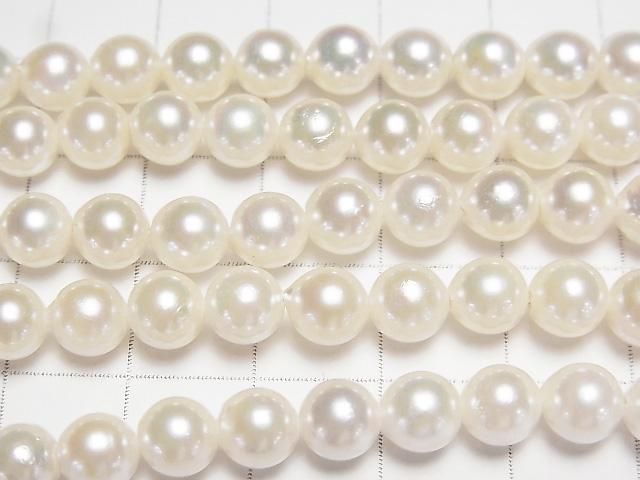 [Video] Japanese Akoya Pearl AAA- Semi Round 6-6.5mm White half or 1strand beads (aprx.15inch/38cm)