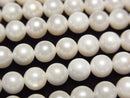 [Video] Japanese Akoya Pearls AA++ Semi-Round 5-5.5mm White Half or 1-Strand Beads (approx. 15 inches/38 cm)