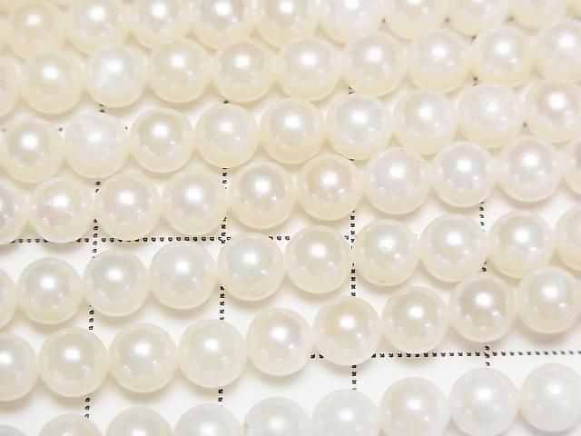 [Video] Japanese Akoya Pearls AA++ Semi-Round 5-5.5mm White Half or 1-Strand Beads (approx. 15 inches/38 cm)