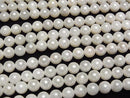 [Video] Japanese Akoya Pearls AA++ Semi-Round 5-5.5mm White Half or 1-Strand Beads (approx. 15 inches/38 cm)