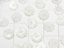 [Video]Mother of Pearl MOP White Flower (Margaret) 8mm Center Hole 4pcs