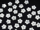 [Video] High Quality White Shell (Silver-lip Oyster) AAA Flower [6mm][8mm] Center Hole 4pcs