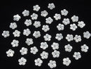 [Video] High Quality White Shell (Silver-lip Oyster) AAA Flower [6mm][8mm] Center Hole 4pcs