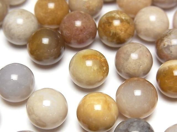 [Video]Fossil Coral Sphere, Round 10mm 10pcs