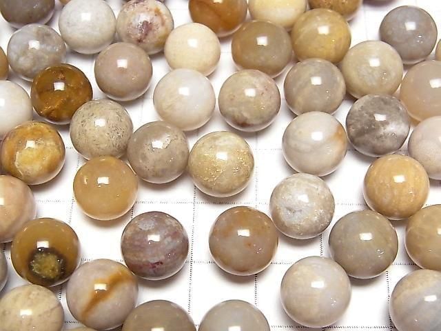 [Video]Fossil Coral Sphere, Round 10mm 10pcs