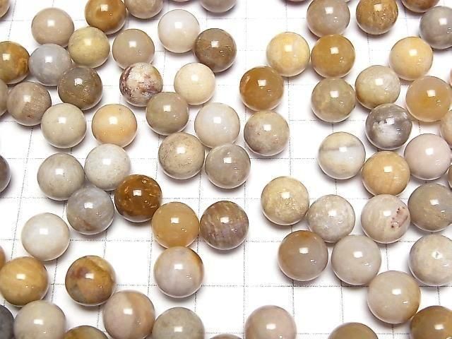 [Video]Fossil Coral Sphere, Round 10mm 10pcs