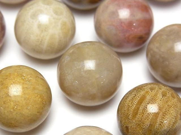 [Video]Fossil Coral Sphere, Round 20mm 2pcs