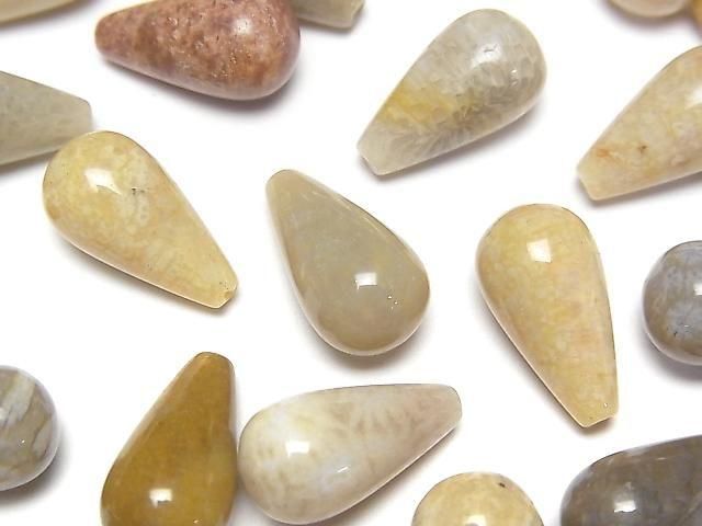 [Video]Fossil Coral Half Drilled Hole Drop (Smooth) 16x8mm 3pcs