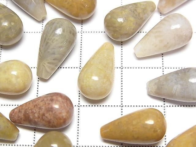 [Video]Fossil Coral Half Drilled Hole Drop (Smooth) 16x8mm 3pcs