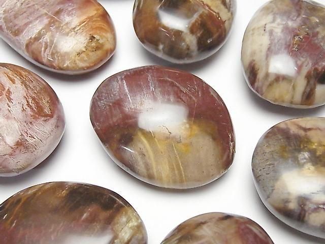 [Video]Petrified Wood Nuggets 3pcs
