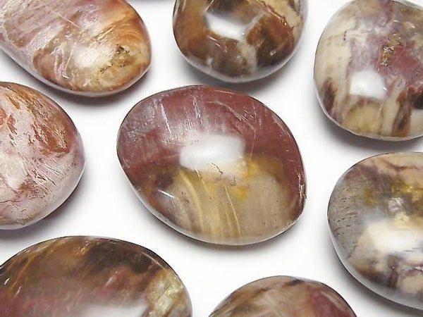 [Video]Petrified Wood Nuggets 3pcs
