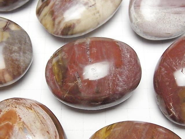 [Video]Petrified Wood Nuggets 3pcs