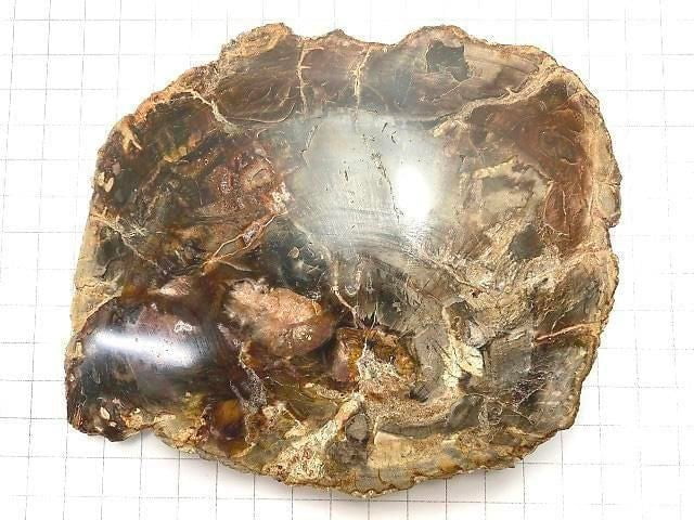 [Video][One of a kind] Petrified Wood Raw Slice NO.28