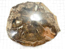 [Video][One of a kind] Petrified Wood Raw Slice NO.29