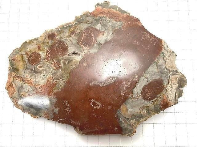 [Video][One of a kind] Petrified Wood Raw Slice NO.30