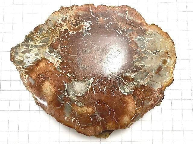 [Video][One of a kind] Petrified Wood Raw Slice NO.32