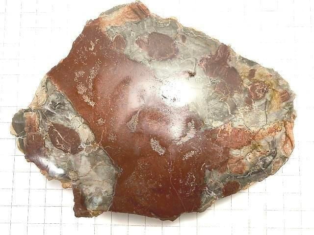 [Video][One of a kind] Petrified Wood Raw Slice NO.33