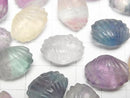 [Video] Multicolor Fluorite AAA- Shell Motif 13x18mm [Horizontal hole] 5pcs