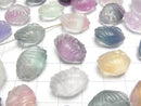 [Video] Multicolor Fluorite AAA- Shell Motif 13x18mm [Horizontal hole] 5pcs