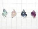 [Video] Multicolor Fluorite AAA- Shell (Snail) Motif 18x12mm [Undrilled] 5pcs