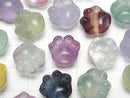 [Video] Multicolor Fluorite AAA- Paw Print Motif 13x14mm [Drilled Hole] 5pcs