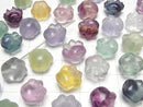 [Video] Multicolor Fluorite AAA- Paw Print Motif 13x14mm [Drilled Hole] 5pcs