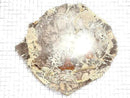 [Video][One of a kind] Petrified Wood Raw Slice NO.34