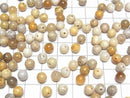 [Video]Fossil Coral half Drilled Hole Round 6.5mm 10pcs