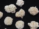 [Video] Mexican Desert Rose (Selenite Rose) Cluster 5pcs