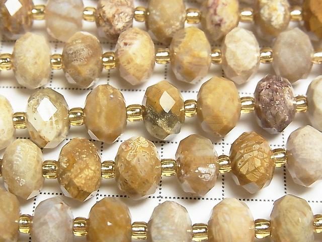 [Video]High Quality! Fossil Coral Faceted Button Rondelle 10x10x6.5mm half or 1strand beads (aprx.15inch/37cm)