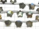 [Video] Labradorite AA++ Faceted Star 6x6mm 1strand (8pcs)