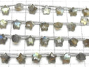 [Video] Labradorite AA++ Faceted Star 6x6mm 1strand (8pcs)
