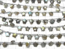 [Video] Labradorite AA++ Faceted Star 6x6mm 1strand (8pcs)
