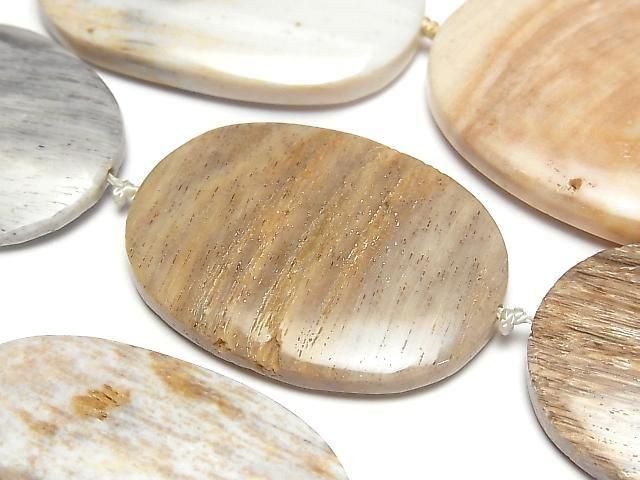 [Video]Petrified Wood Flat Oval half or 1strand beads (aprx.13inch/32cm)