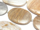 [Video]Petrified Wood Flat Oval half or 1strand beads (aprx.13inch/32cm)