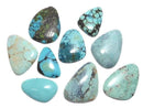 [Video][One of a kind] Turquoise Loose stone 9pcs set NO.14