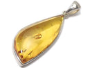 [Video][One of a kind] Baltic Amber Pendant Silver925 NO.101