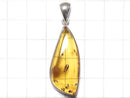 [Video][One of a kind] Baltic Amber Pendant Silver925 NO.101