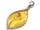 [Video][One of a kind] Baltic Amber Pendant Silver925 NO.104