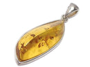 [Video][One of a kind] Baltic Amber Pendant Silver925 NO.105