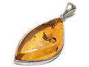 [Video][One of a kind] Baltic Amber Pendant Silver925 NO.106