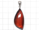[Video][One of a kind] Baltic Amber Pendant Silver925 NO.111