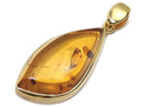 [Video][One of a kind] Baltic Amber Pendant 18KGP NO.119